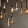 Bulbs