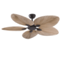 Bora Ceiling Fan